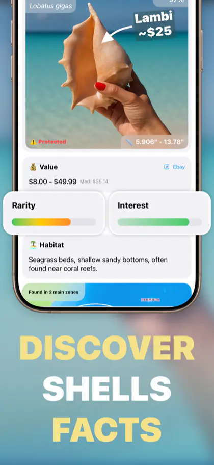 Shellie screenshot 2