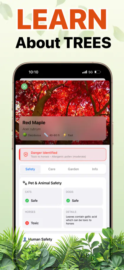 Tree Identifier screenshot 3